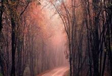 九游:斩获8金!亚冬会中国代表团一日创下多项纪录央视新闻客户端.