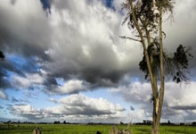 九游:NBA:哈登31分10篮板7助攻 黄蜂88-123快船.