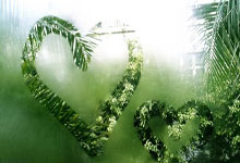 九游:德转更新意甲涨幅榜:科莫小将迪奥涨1600万欧,帕斯涨1500万.