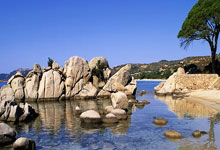 九游：[NBA]坎宁安三分绝杀 活塞送热火9连败.